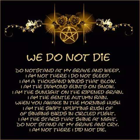 we do not die meme/ poem